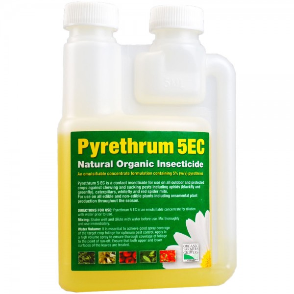 250ml Pyrethrum